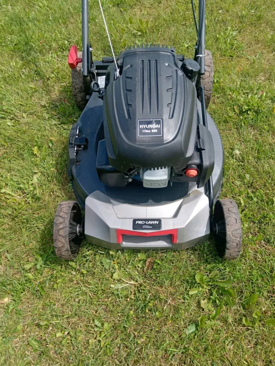 Lawnmowers - Image 1