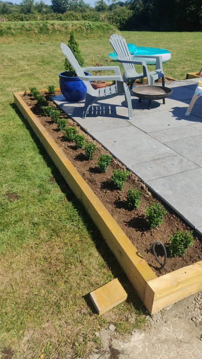 Box Hedging - Image 2