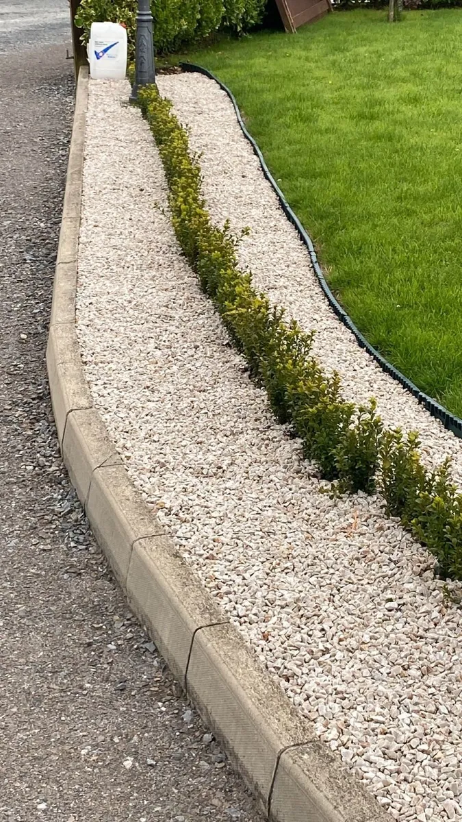 Box Hedging - Image 4