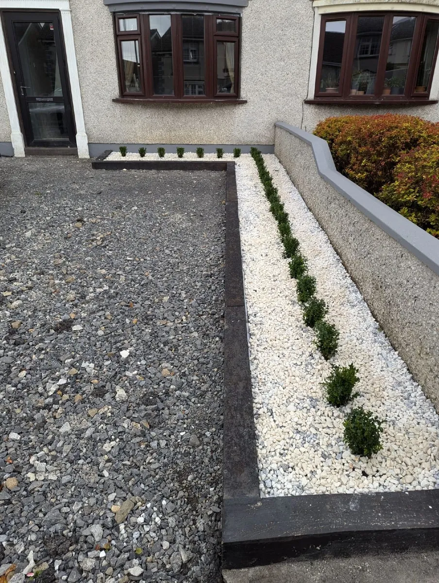 Box Hedging - Image 2