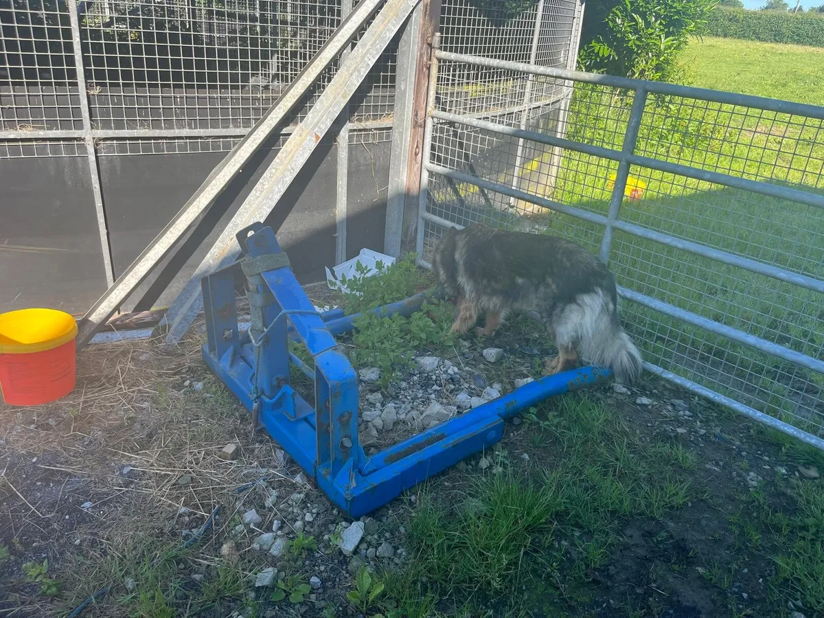Single bale handler