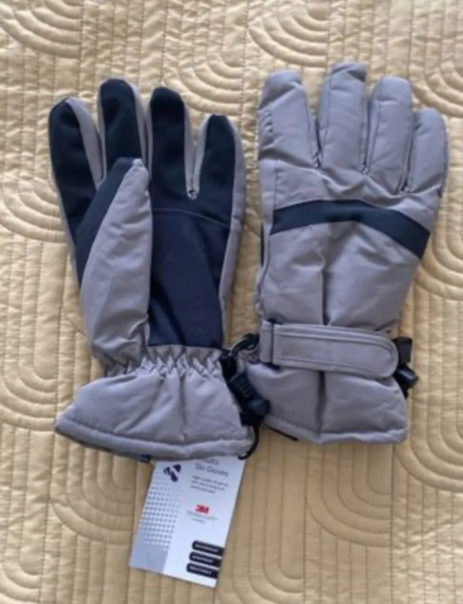 Adult Ski gloves - Image 1