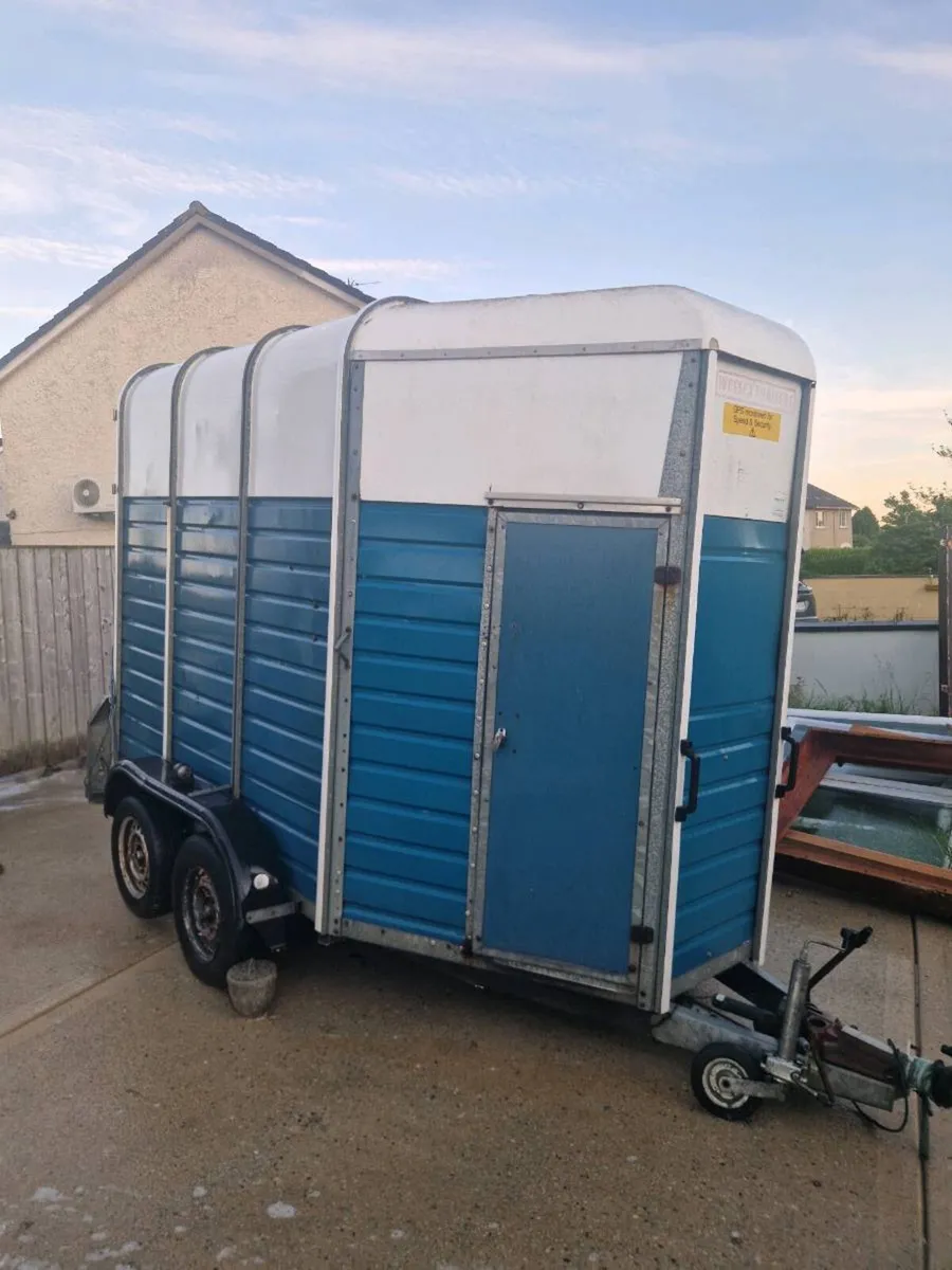 Horse box - Image 4