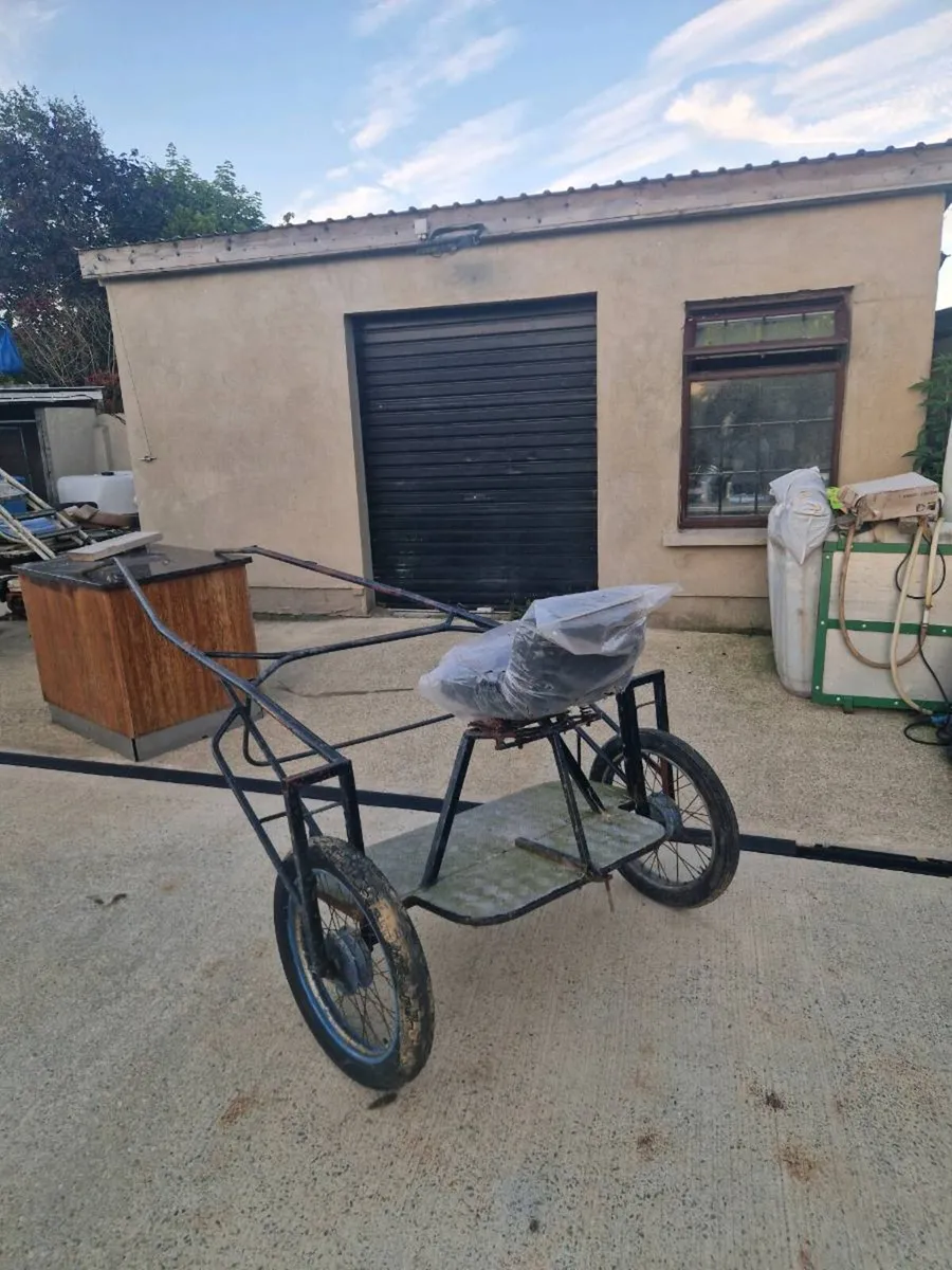 Cart and harness - Image 3