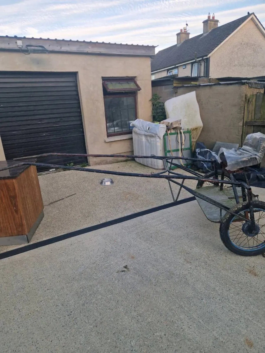 Cart and harness - Image 4