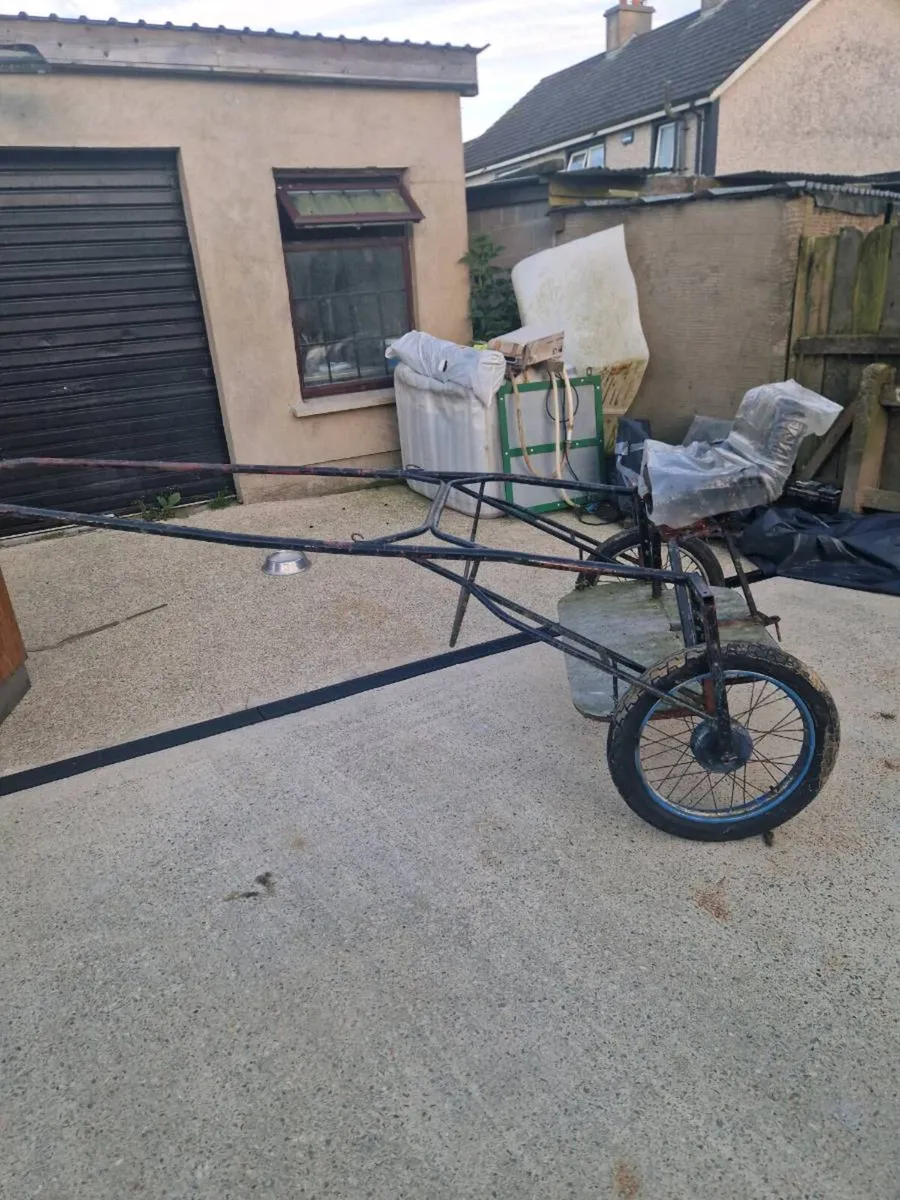 Cart and harness - Image 1