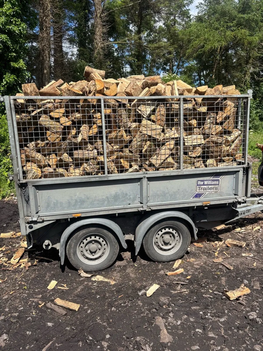 Kiln dried Oak firewood. - Image 4