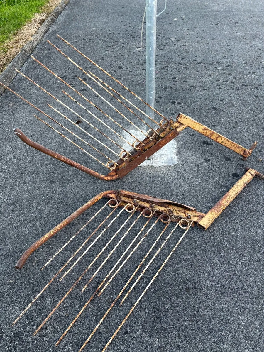Pz gates - Image 2