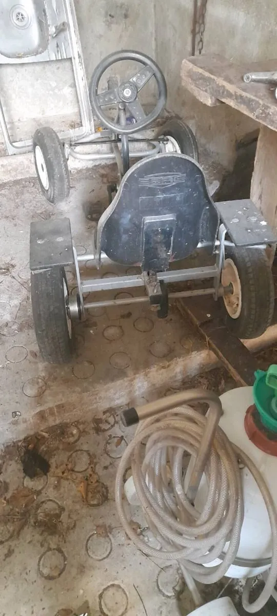 4 wheel goat cart - Image 2