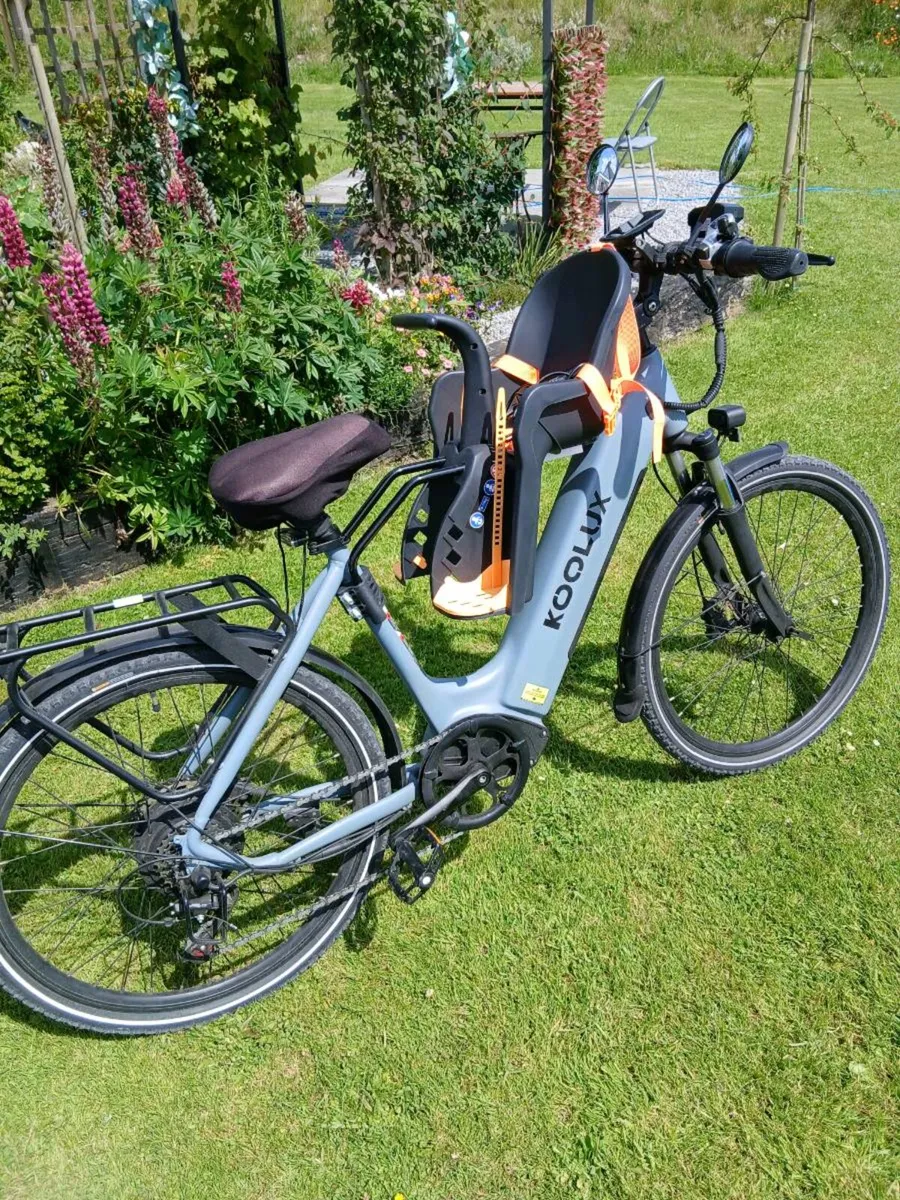 Electric bike - Image 1