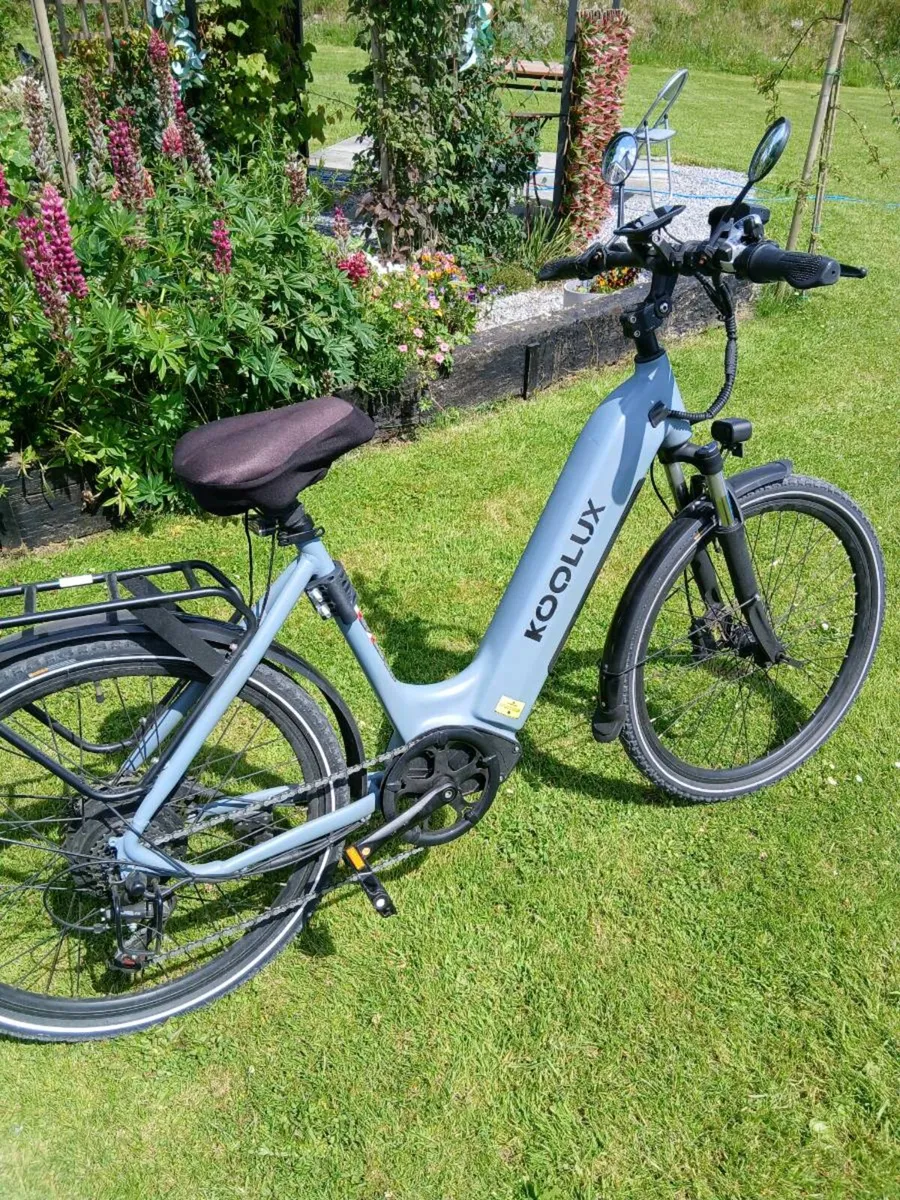 Electric bike - Image 2