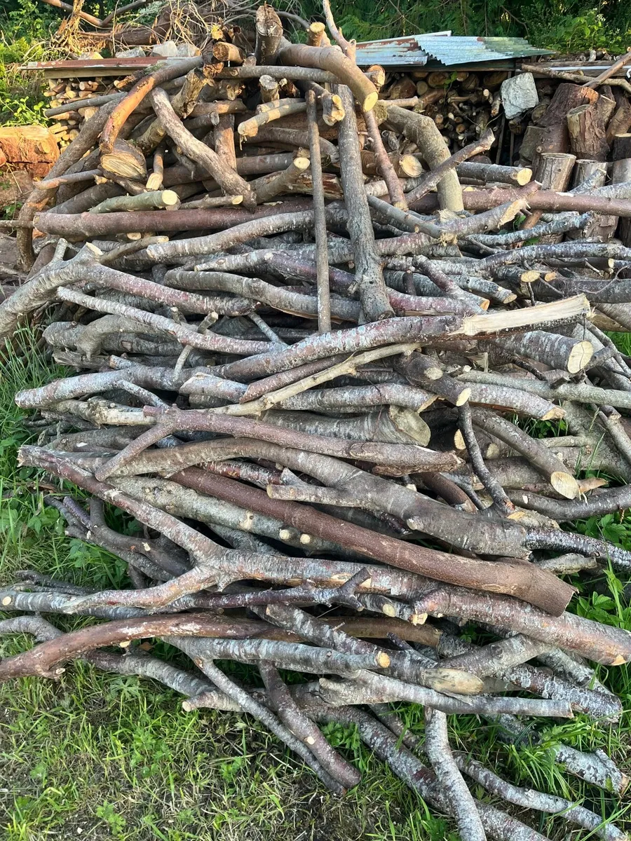 Firewood lenghts - Image 2
