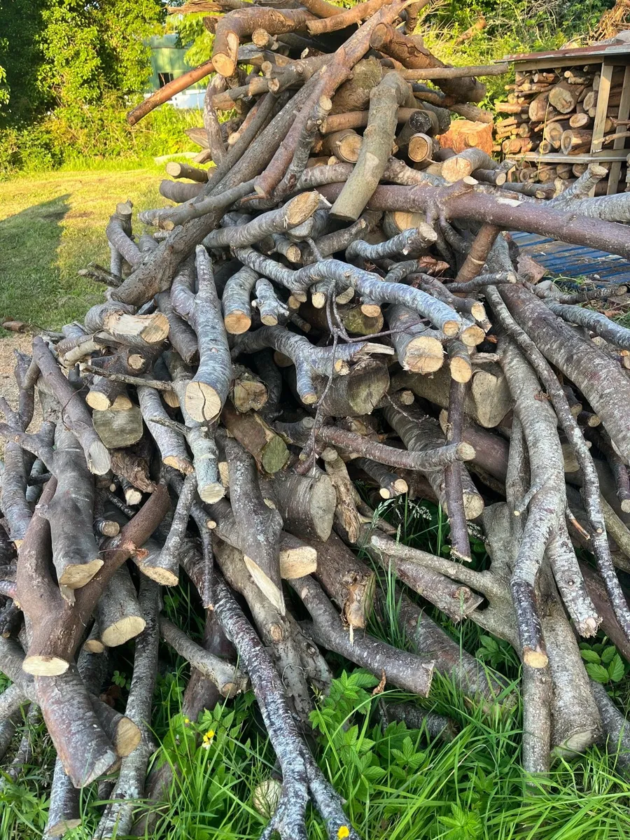 Seasoned firewood - Image 2