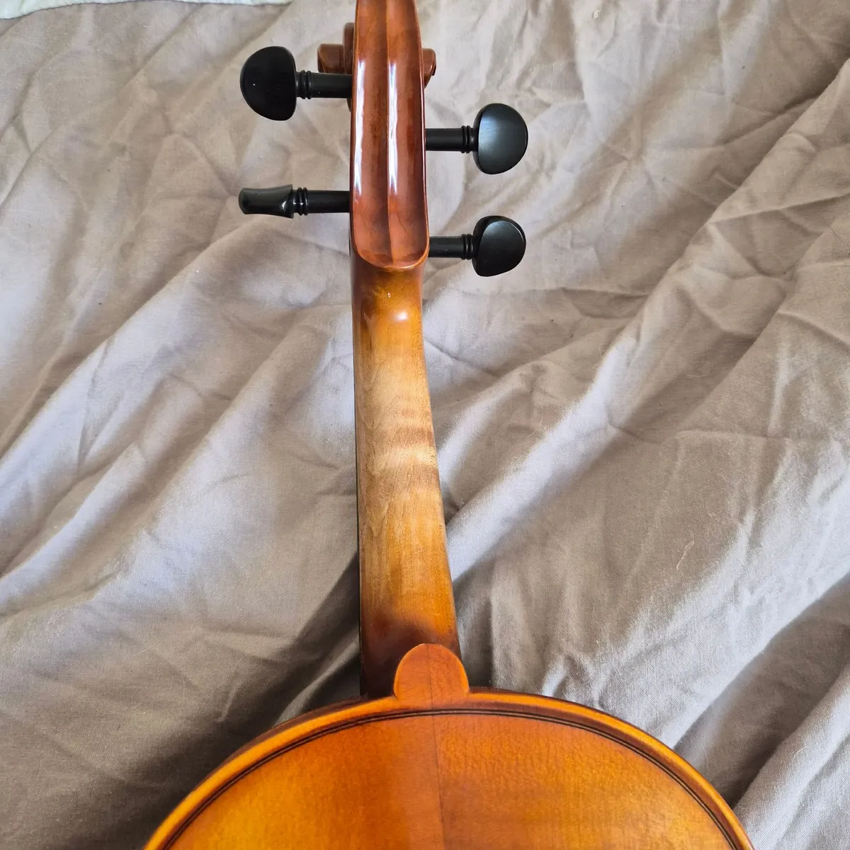 Hidersine Viviente 4/4 Violin Outfit - Image 3