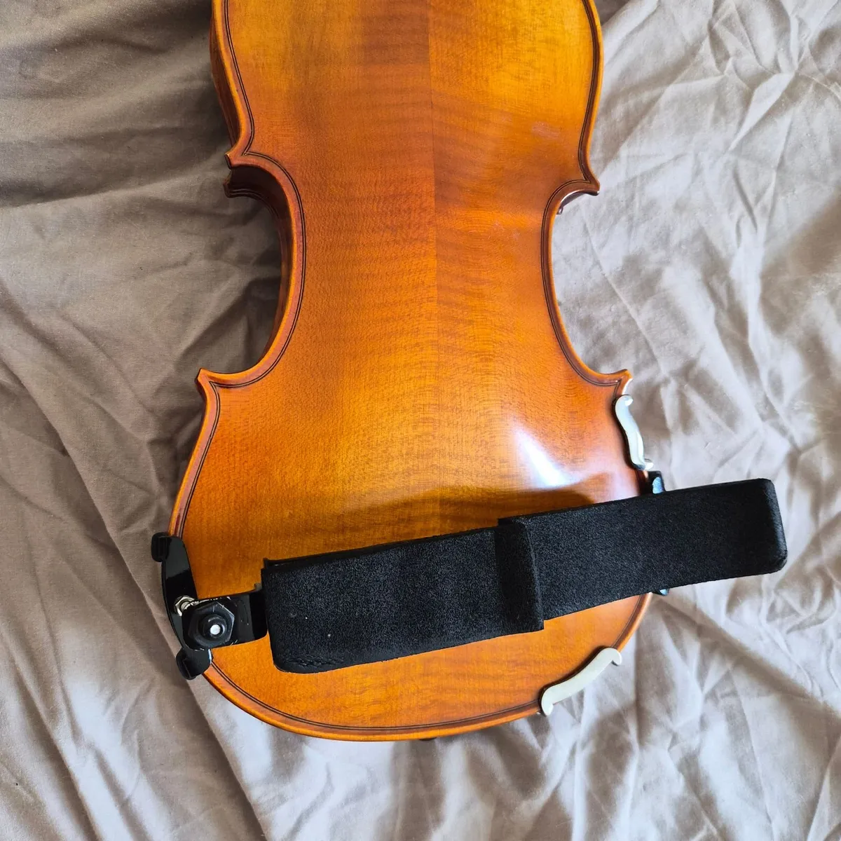 Hidersine Viviente 4/4 Violin Outfit - Image 4