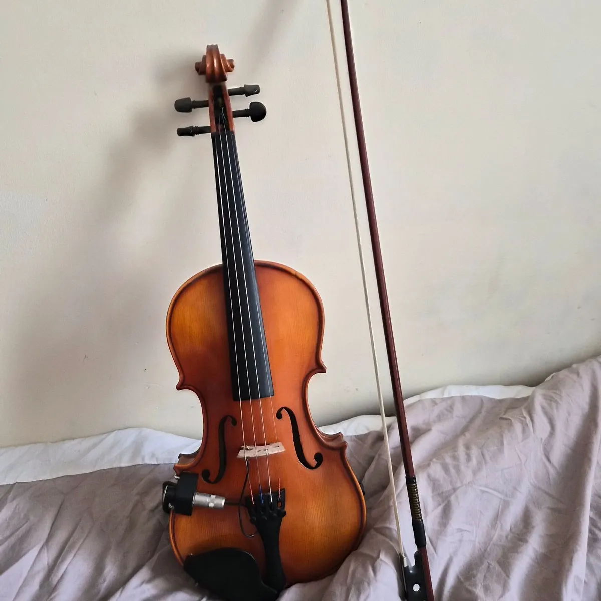 Hidersine Viviente 4/4 Violin Outfit - Image 2