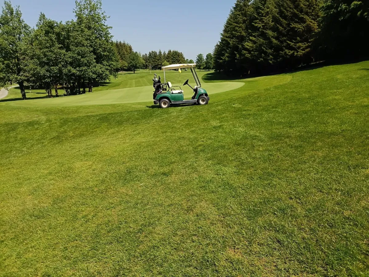 Yamaha Golf Buggy - Image 1