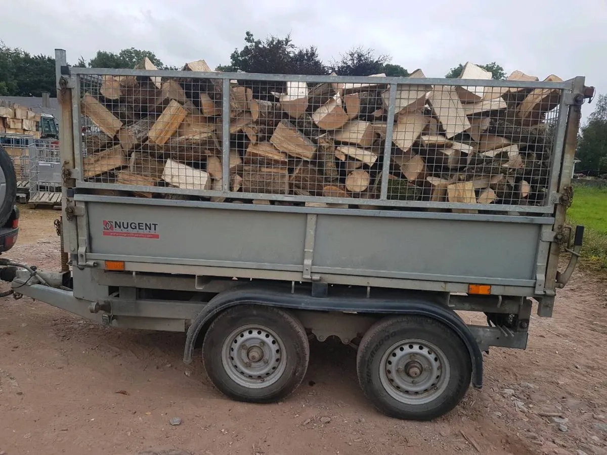 Firewood - Image 1