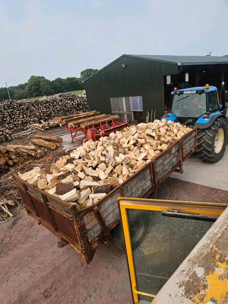 Firewood - Image 2