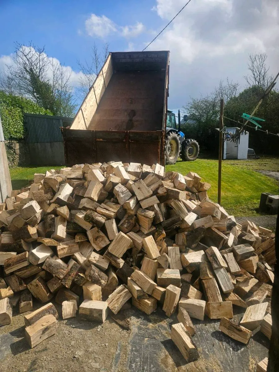 Firewood - Image 3