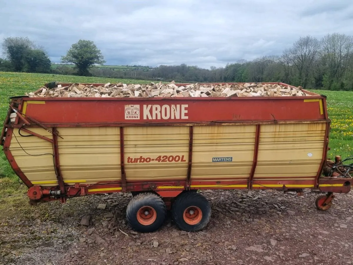 Firewood - Image 4