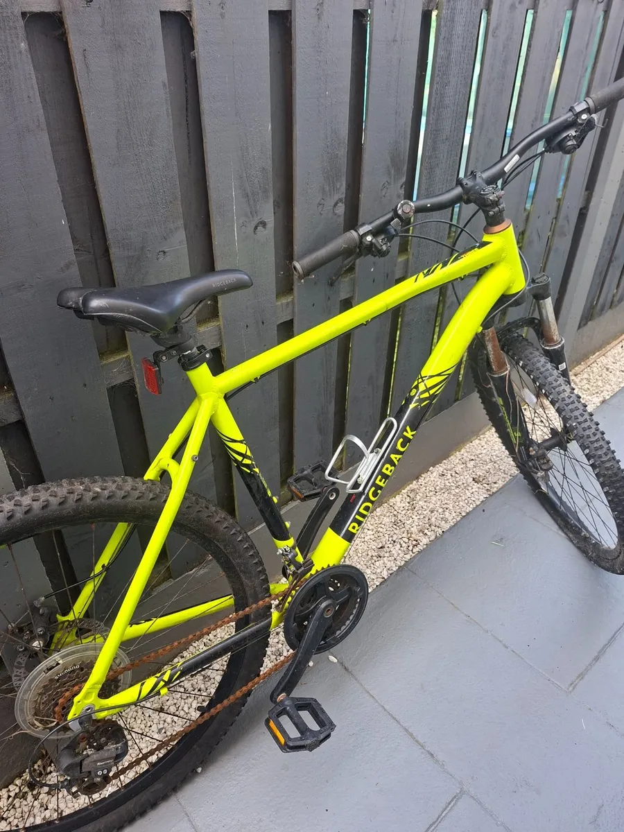 MTB Bike - Image 2