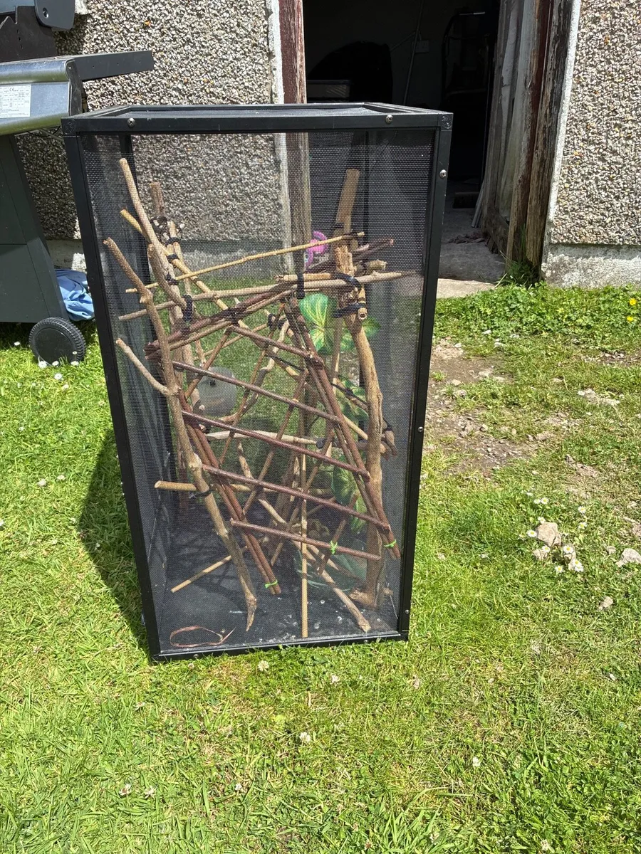 Lizard cage - Image 1