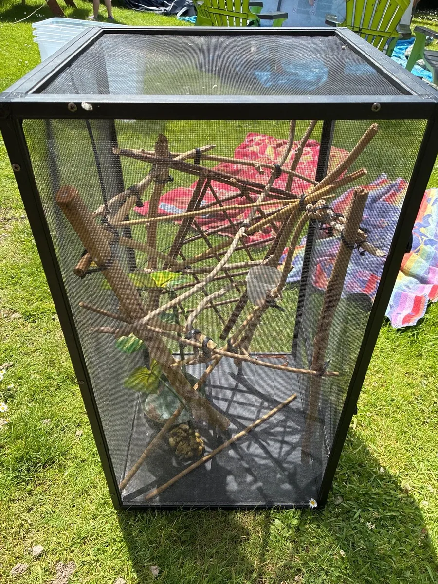 Lizard cage - Image 3