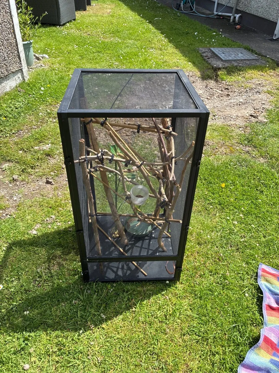 Lizard cage - Image 2