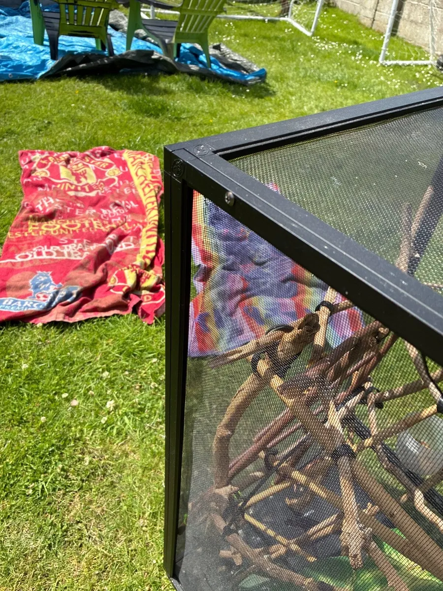 Lizard cage - Image 4