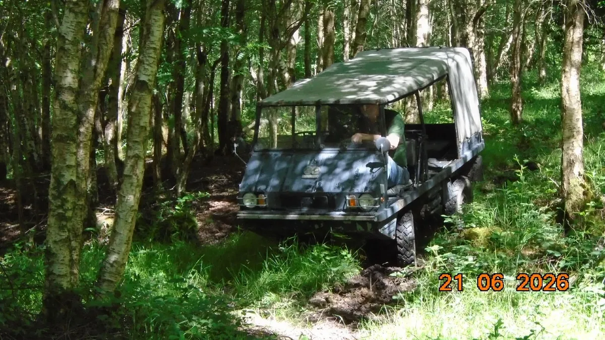Haflinger Steyr-Puch - Image 2
