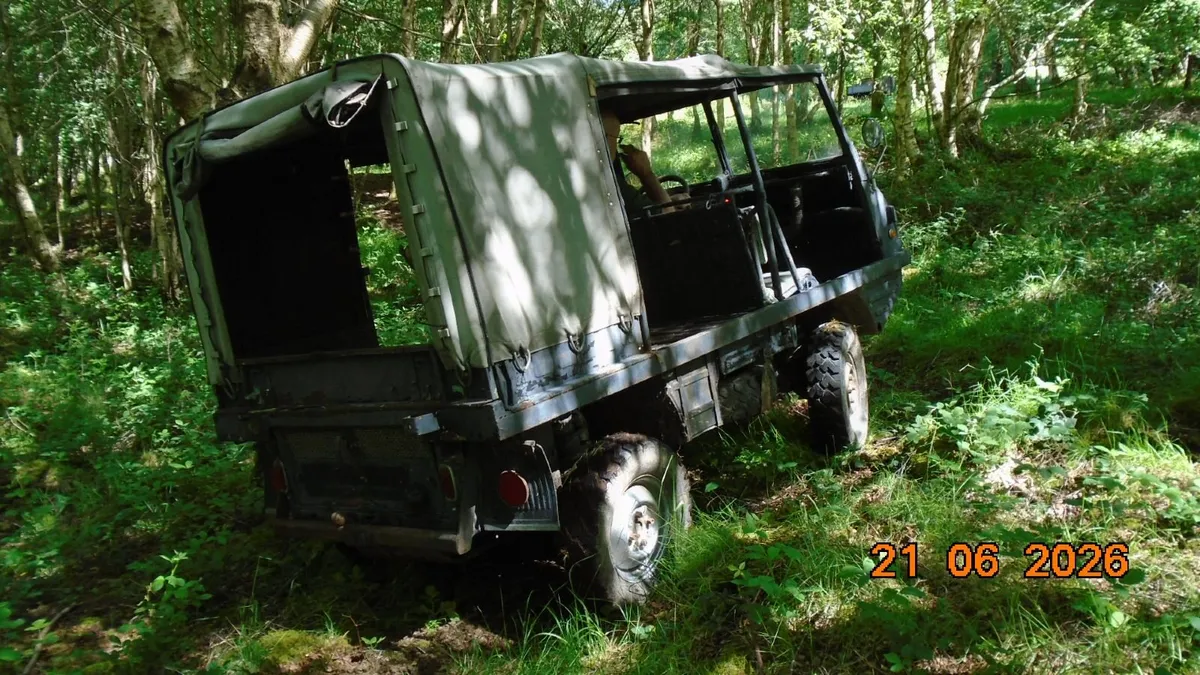 Haflinger Steyr-Puch - Image 4