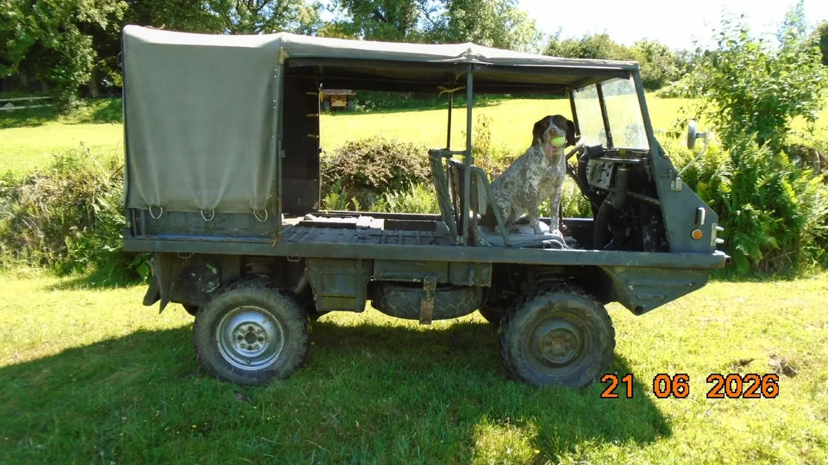 Haflinger Steyr-Puch - Image 1