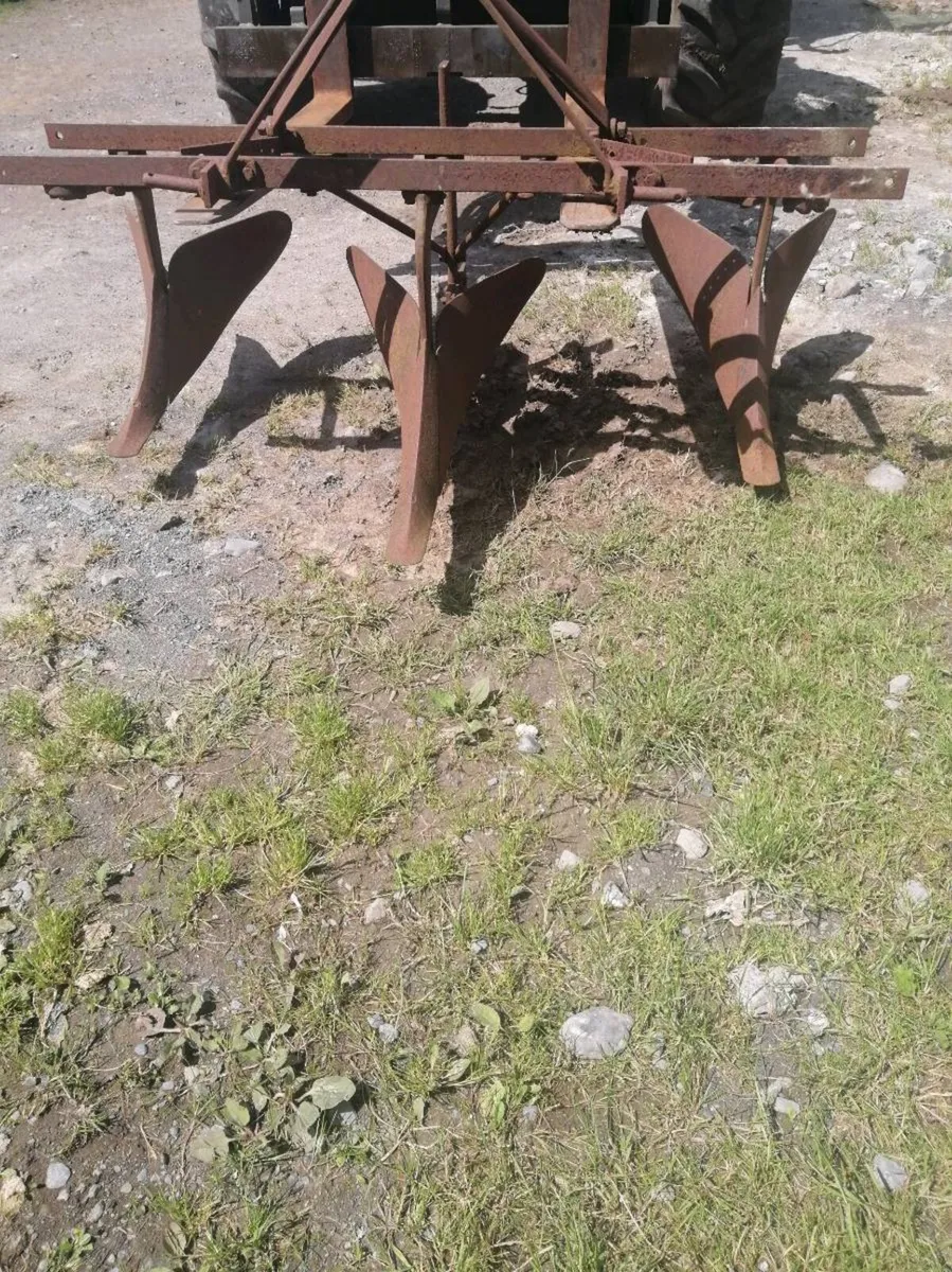Drill plough - Image 1