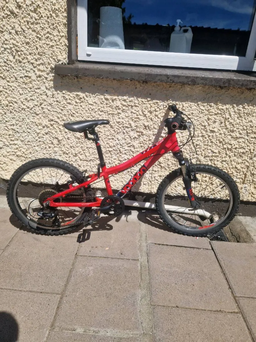 Voodoo bike - Image 4