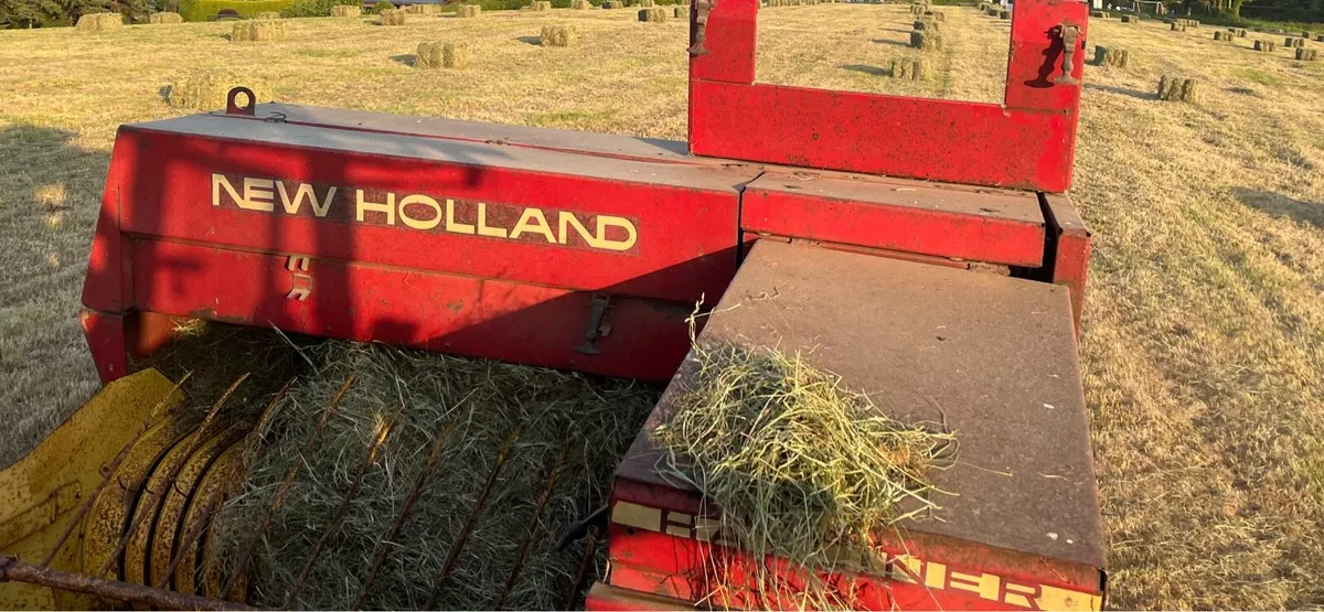 Square bales of hay - Image 1