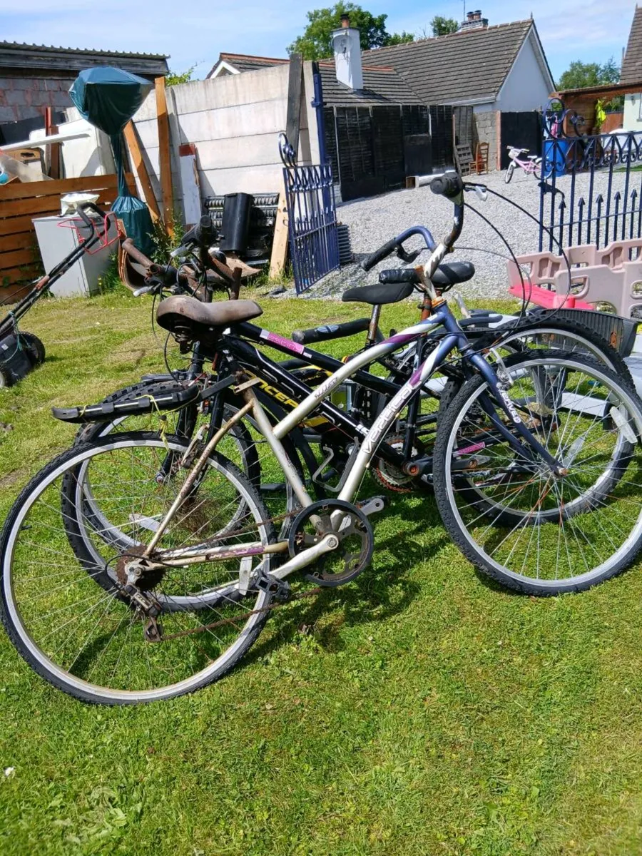 3 bikes to do up - Image 1