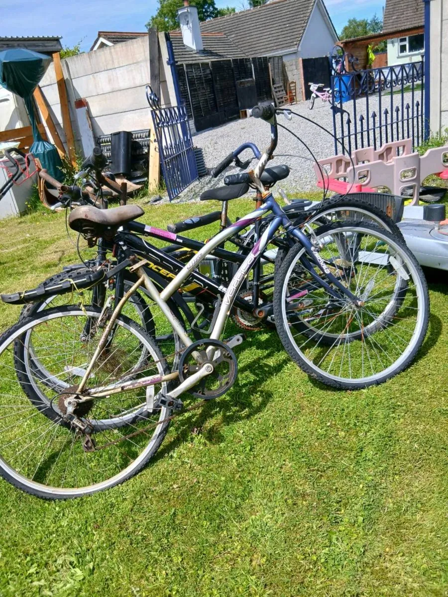 3 bikes to do up - Image 3