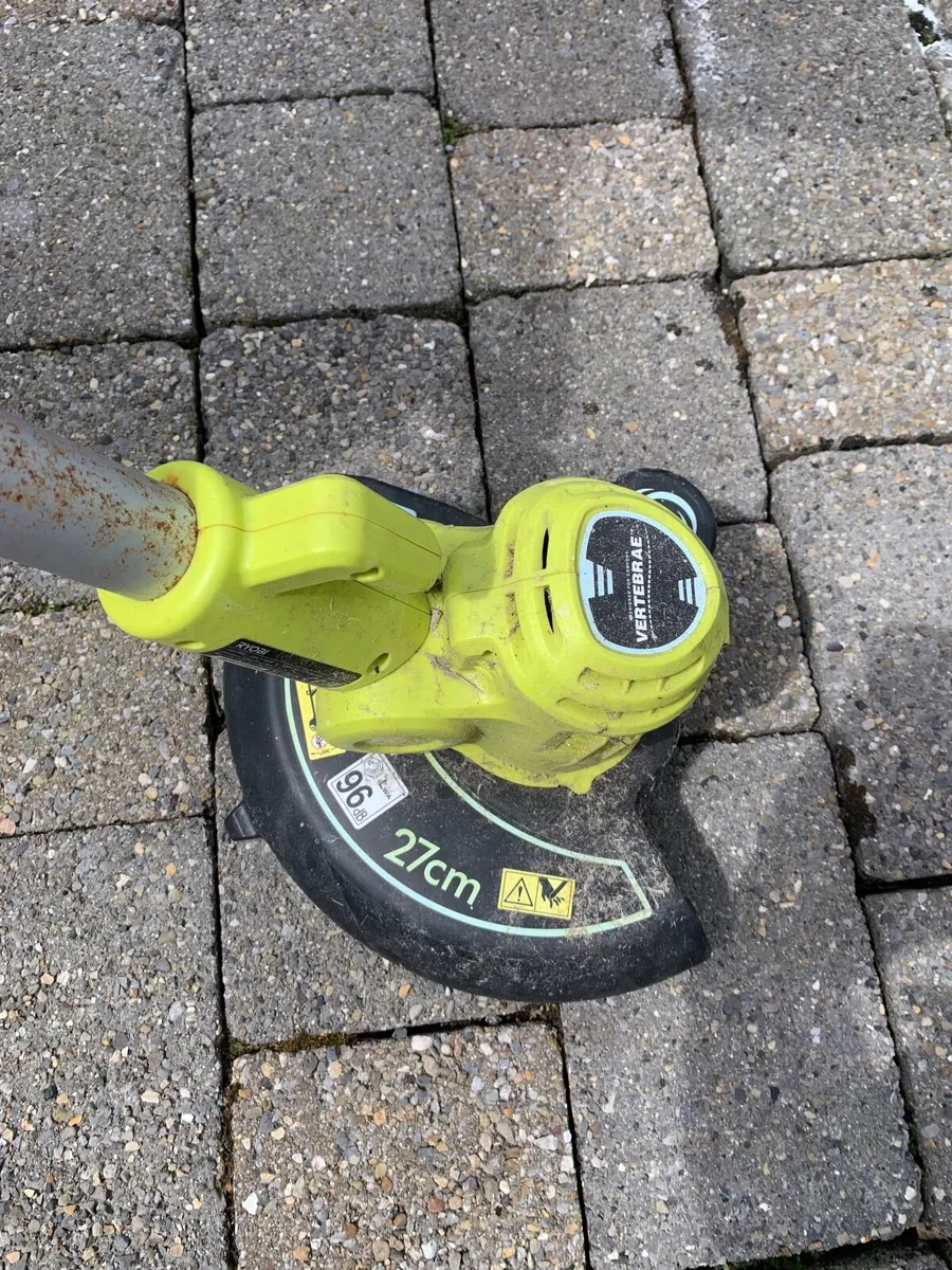 Garden strimmers - Image 1