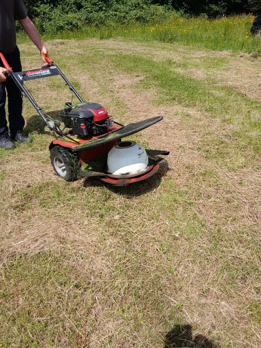 Small disc lawnmower - Image 2