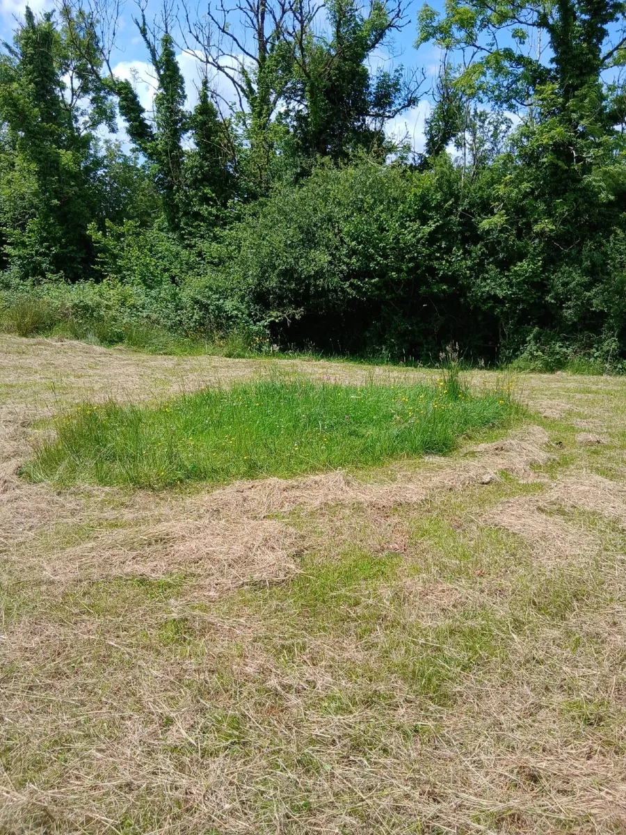 Small disc lawnmower - Image 3