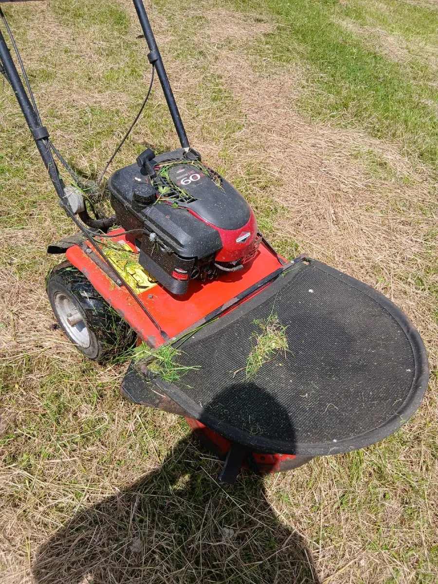 Small disc lawnmower - Image 4