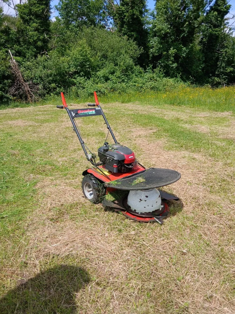 Small disc lawnmower - Image 1