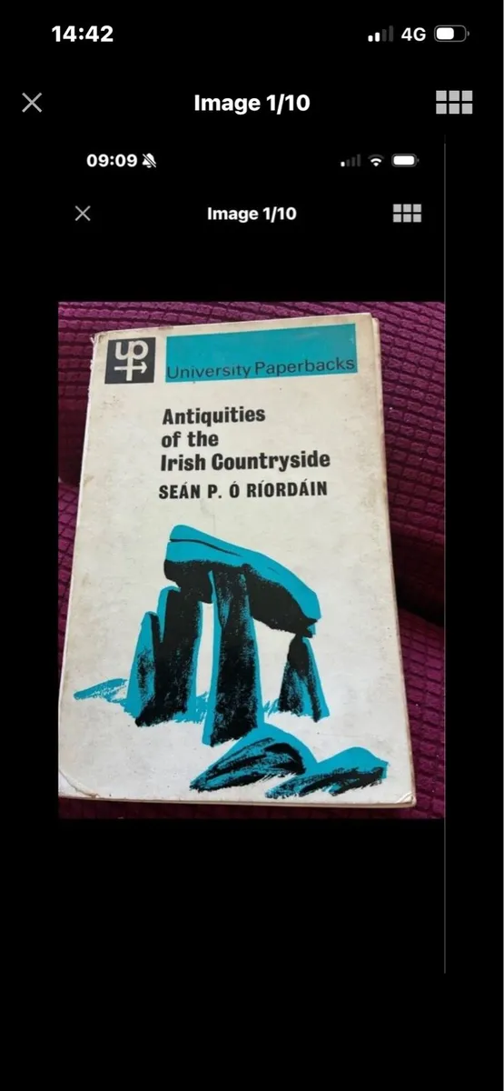 Antiquities of Irish Countryside - Image 1