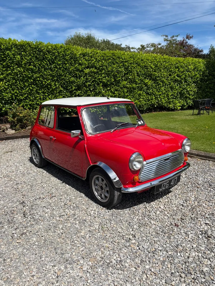 Mini - Image 1
