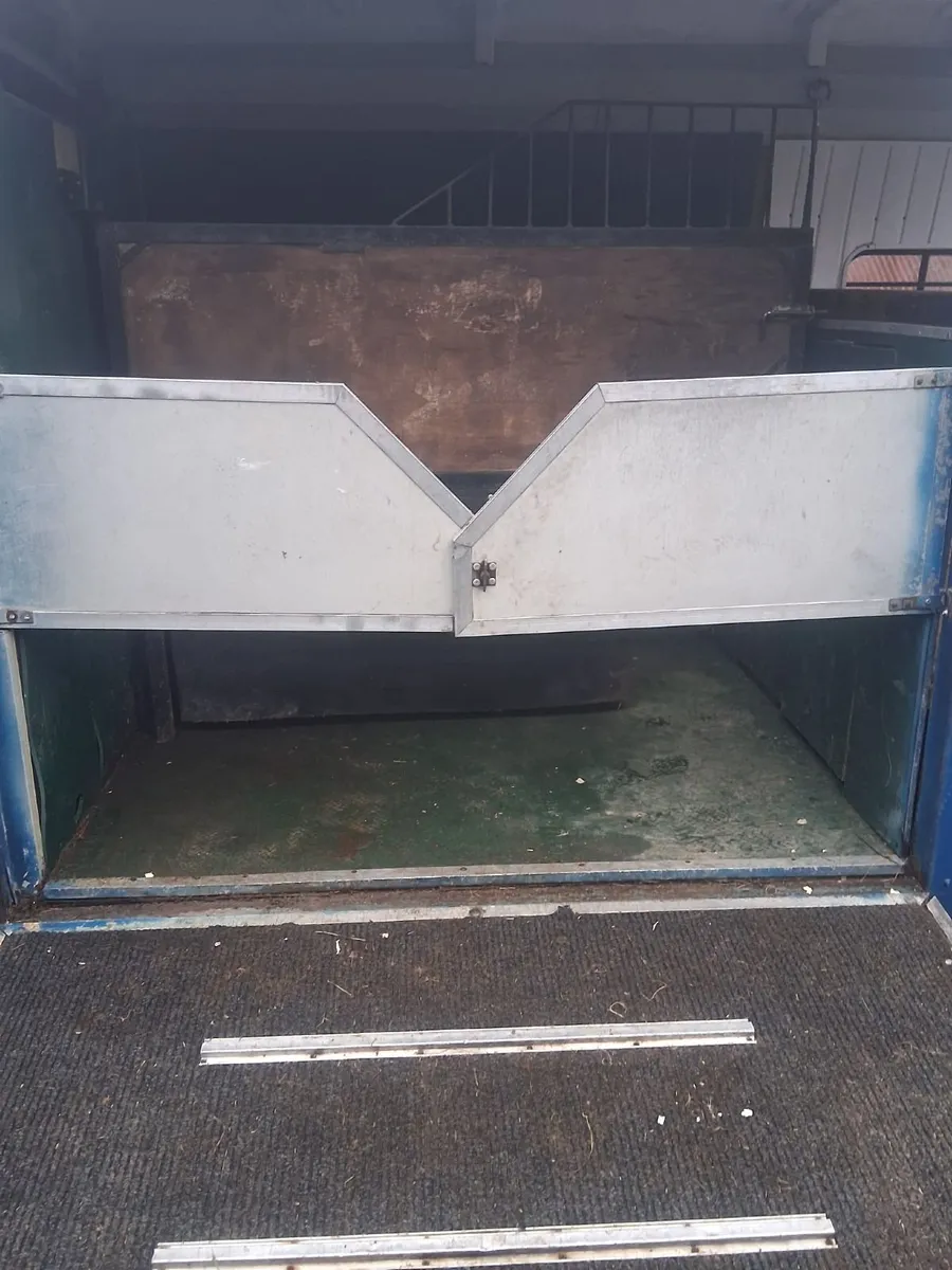 Horse Van - Image 4