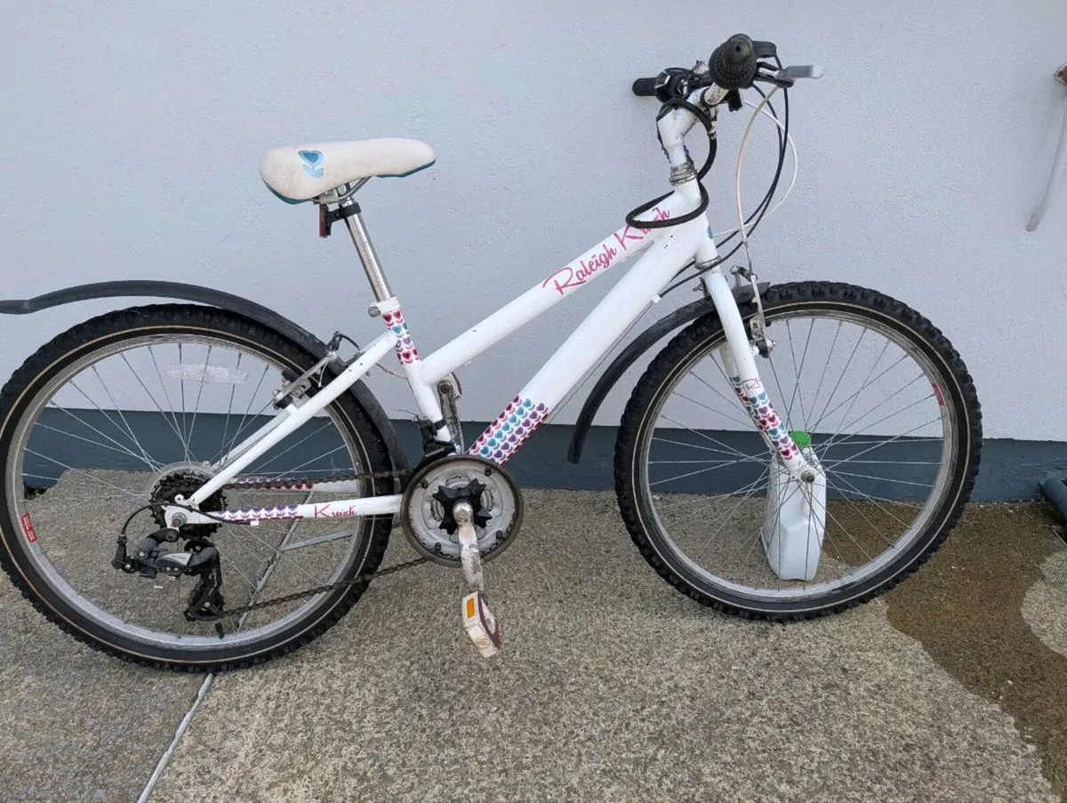 Raleigh girls bike - Image 2