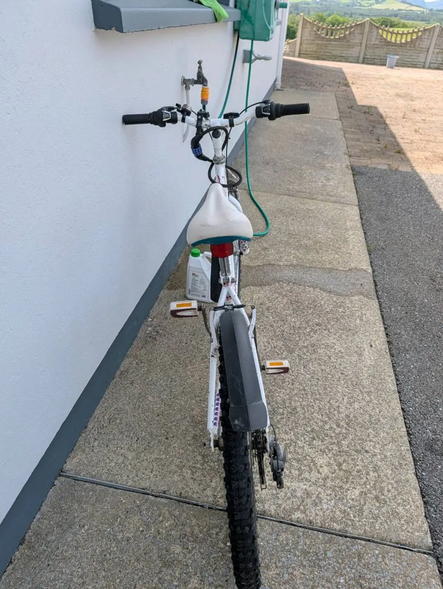 Raleigh girls bike - Image 3