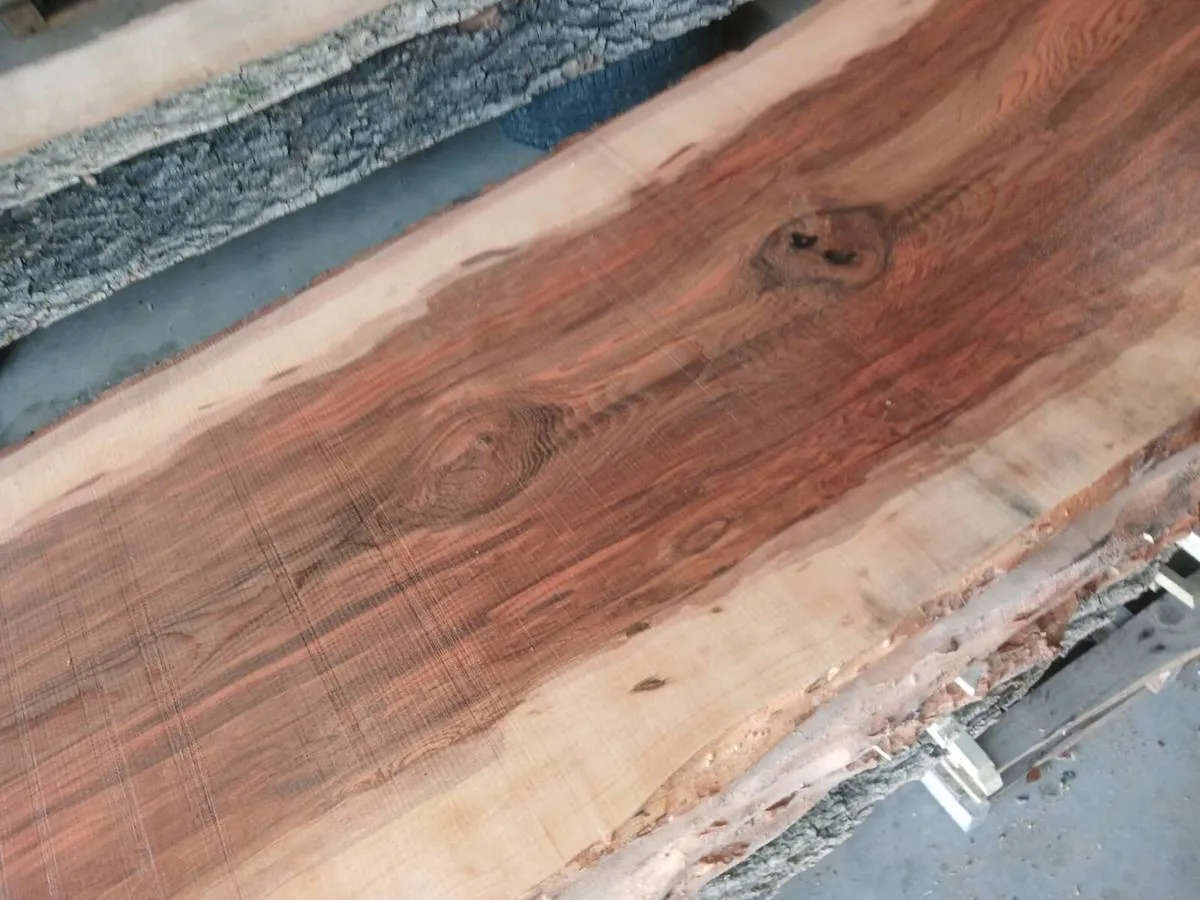 Live edge  solid table tops beach and monkey puzle - Image 2