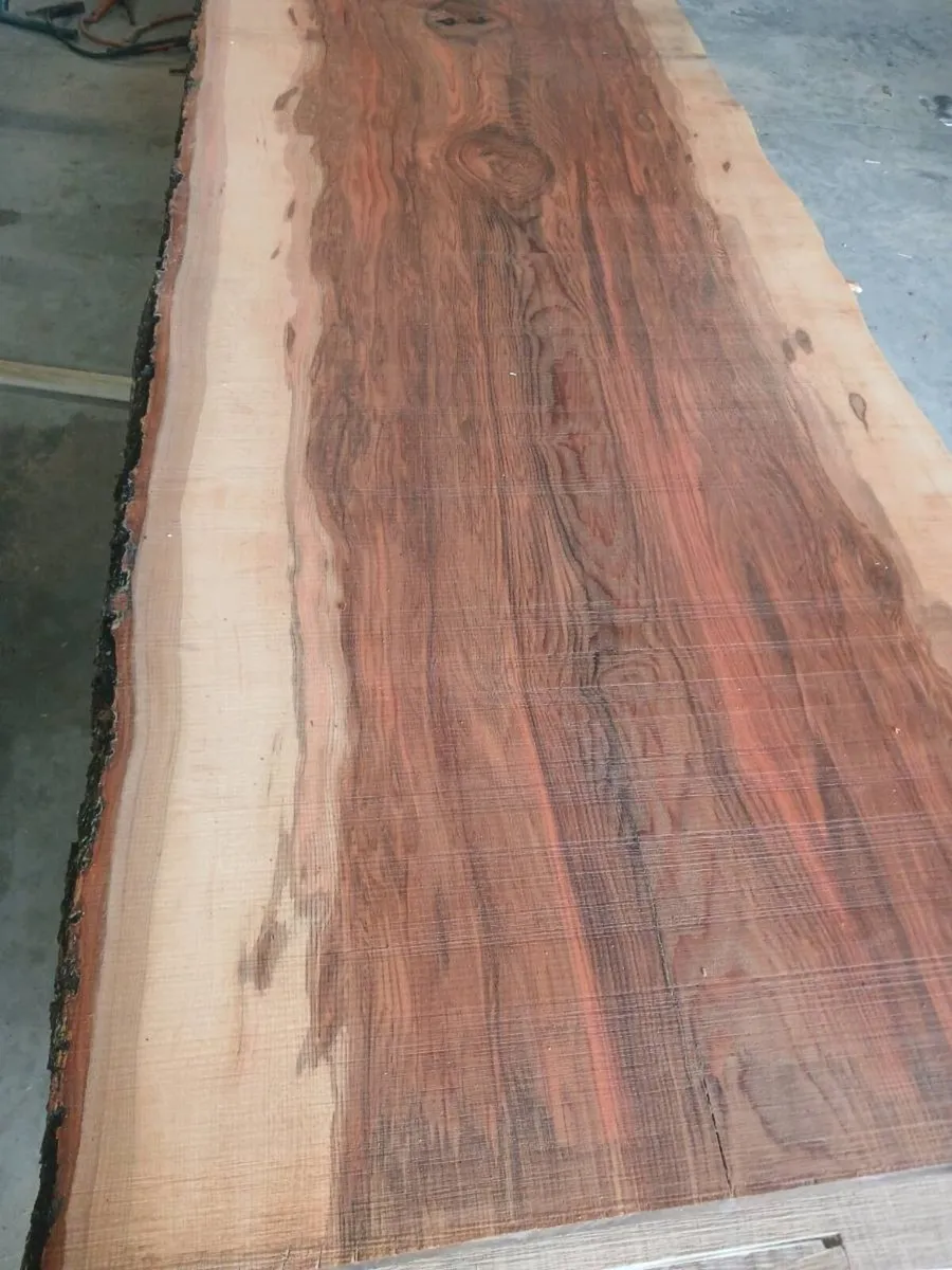 Live edge  solid table tops beach and monkey puzle - Image 3